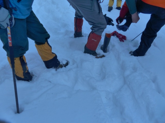 f0357487_224084.jpg