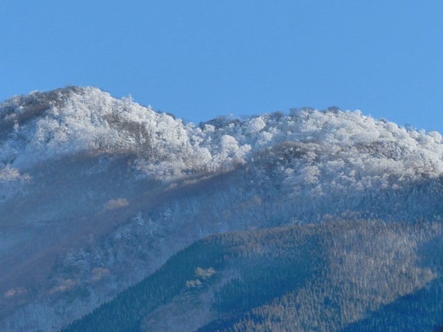 f0357487_2252043.jpg