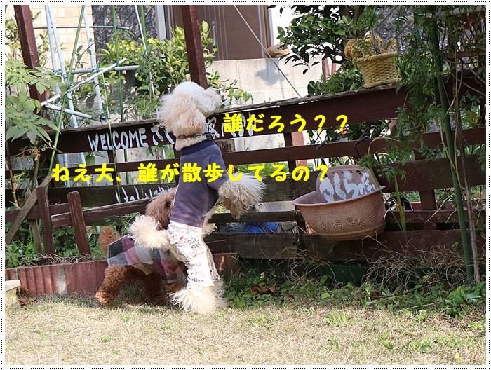 b0175688_01041165.jpg