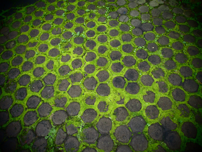b0161391_13075940.jpg