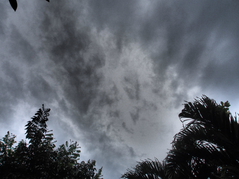 b0161391_13100440.jpg