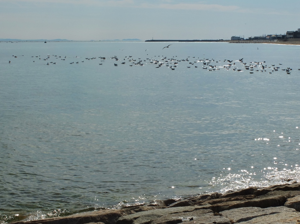 b0212396_10354780.jpg