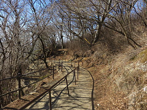 d0046702_08221475.jpg