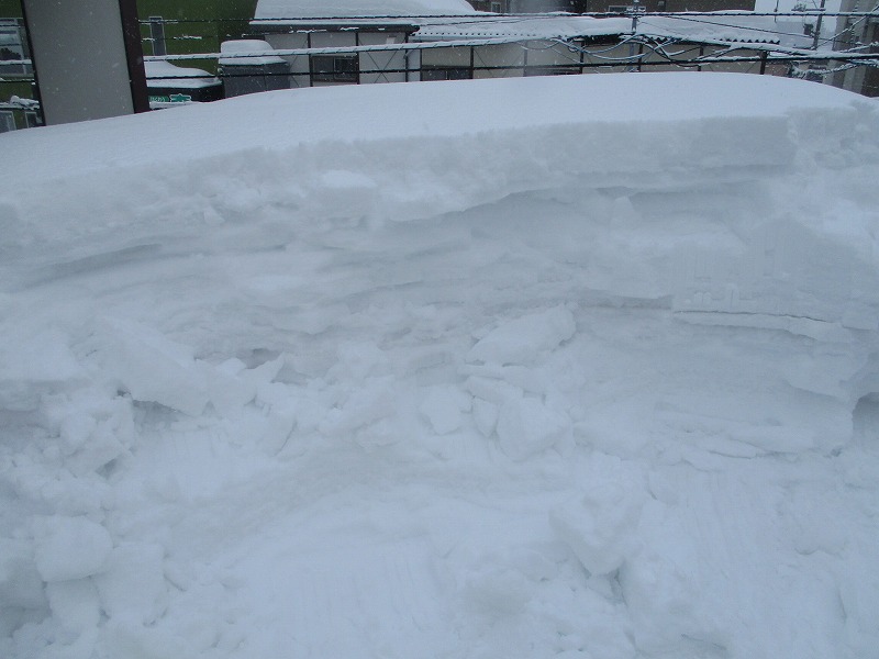 f0202703_731189.jpg