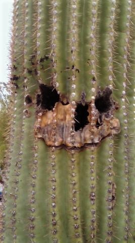 a0310405_13370051.jpeg