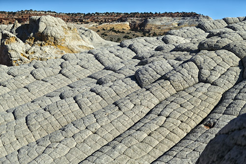 c0148812_910270.jpg