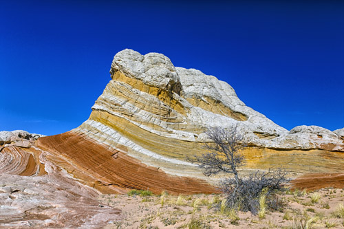 c0148812_995631.jpg
