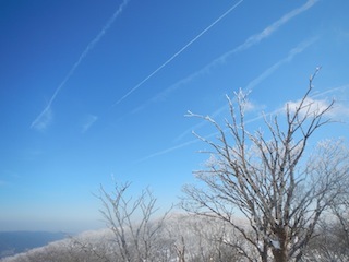c0359615_19351498.jpg