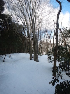 c0359615_19361021.jpg