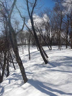 c0359615_19362654.jpg
