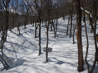 c0359615_19364456.jpg
