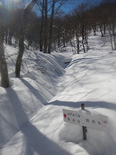 c0359615_19365900.jpg