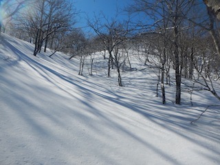 c0359615_19371474.jpg