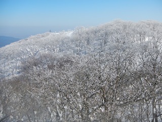 c0359615_19373089.jpg