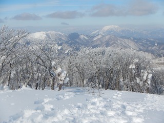c0359615_19375186.jpg