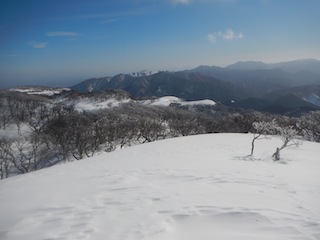 c0359615_19382600.jpg