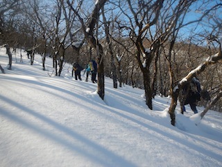 c0359615_19384048.jpg