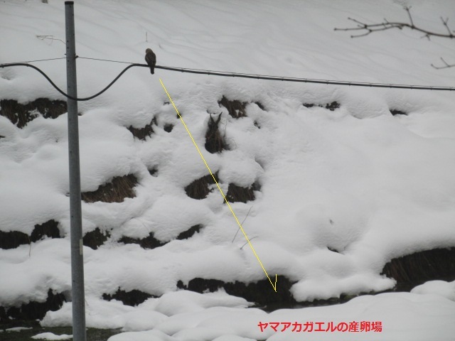 f0341616_14322396.jpg