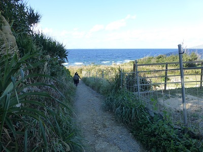c0227720_21551500.jpg