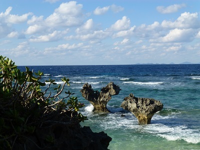 c0227720_21570728.jpg