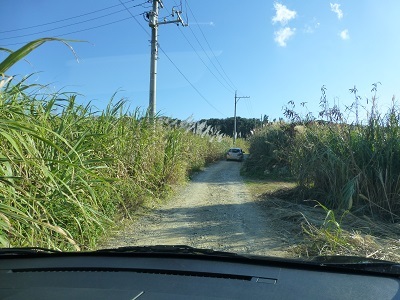 c0227720_22034438.jpg