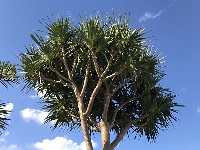 c0227720_22125404.jpg