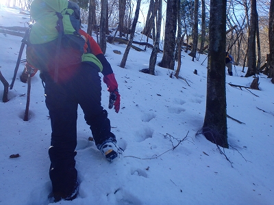 f0193521_19182218.jpg