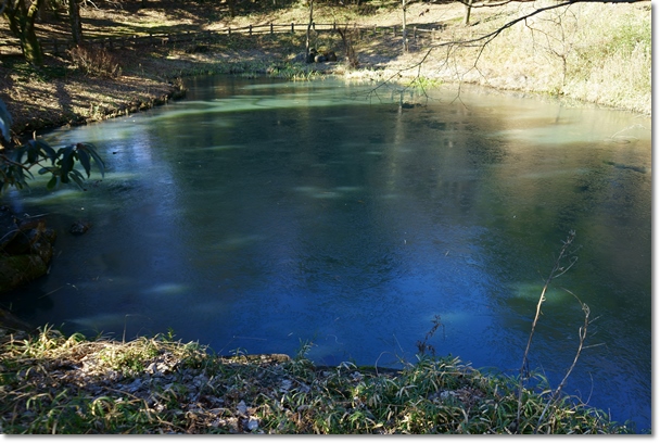 c0284923_12432399.jpg