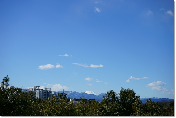 c0284923_12473649.jpg