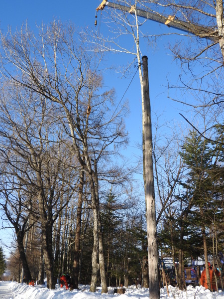 b0174425_19241751.jpg