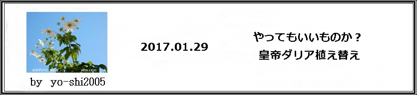 e0033229_16192348.jpg