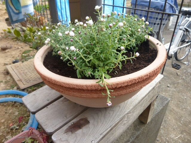 f0329129_14310955.jpg