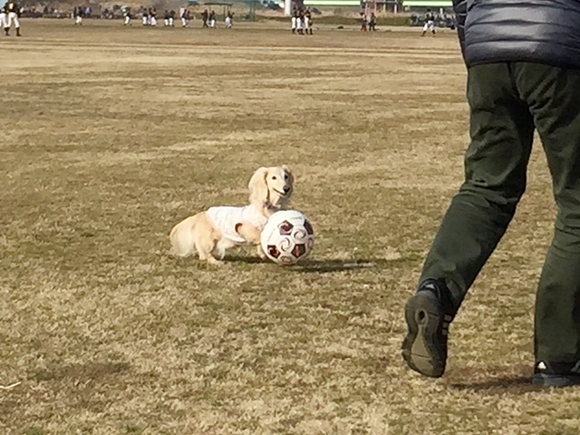 c0117831_20114240.jpg