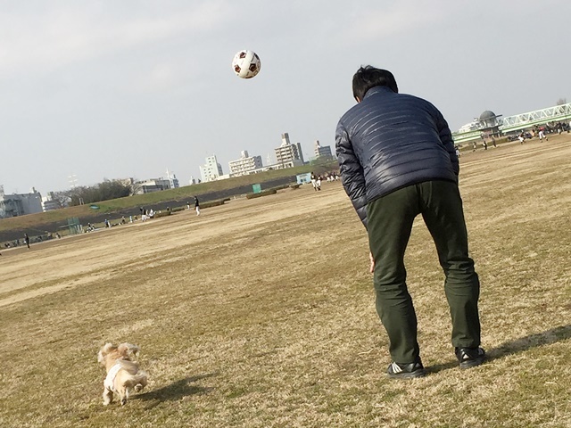 c0117831_20115164.jpg