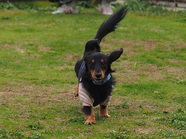 c0117831_20130879.jpg