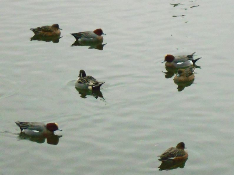 f0088731_22201529.jpg
