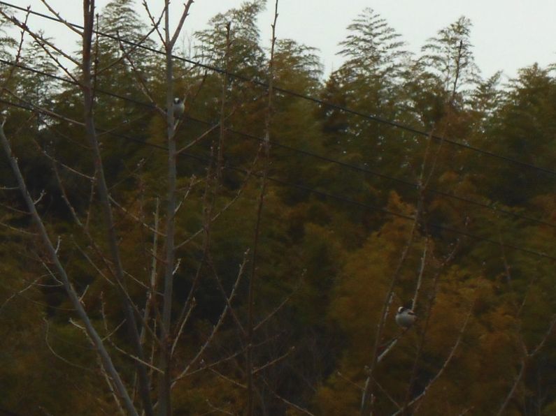 f0088731_23160497.jpg
