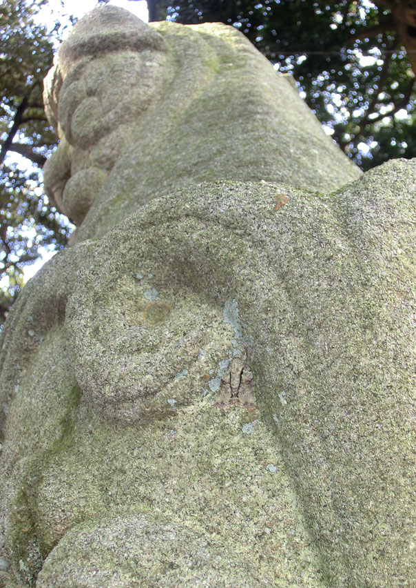 a0126632_16422479.jpg