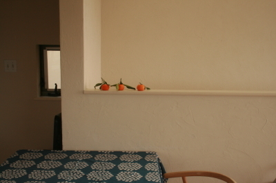 d0049238_21040548.jpg