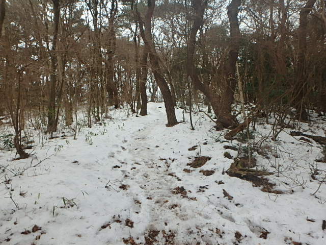f0334143_2115777.jpg
