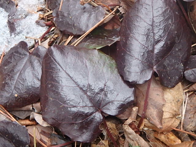 f0334143_2122040.jpg