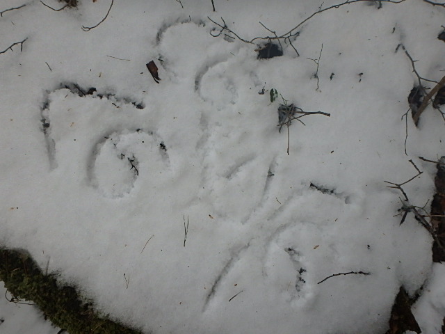 f0334143_2124373.jpg