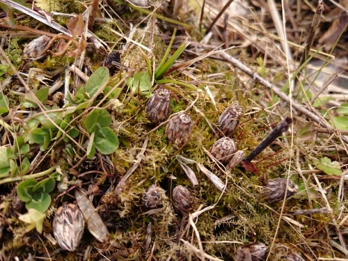 f0326946_22060800.jpg