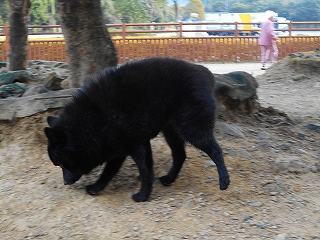 e0002466_2225179.jpg
