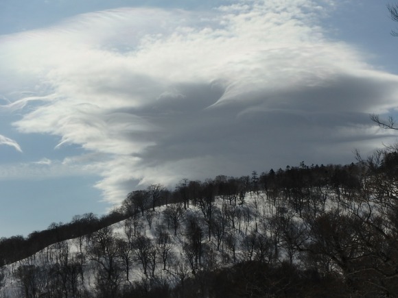 b0050067_23520850.jpg
