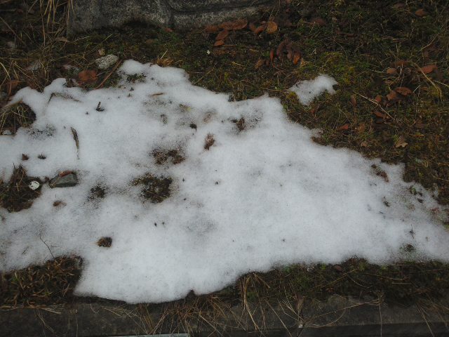 f0061067_20115297.jpg