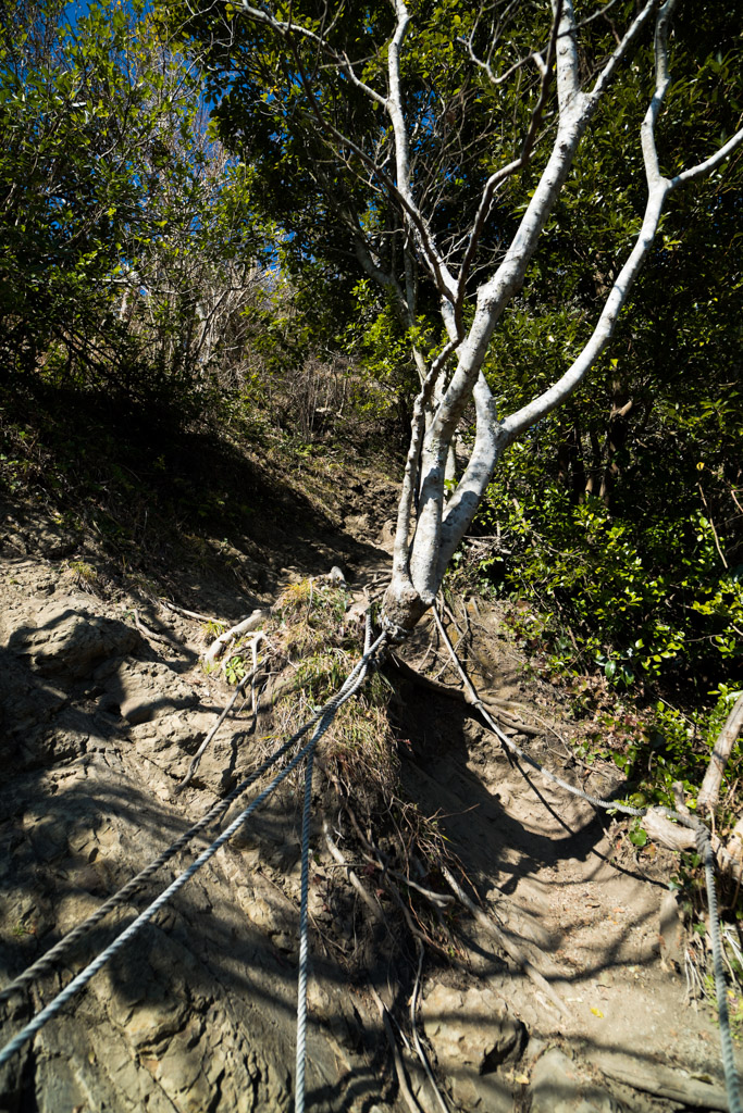 b0247073_18364111.jpg