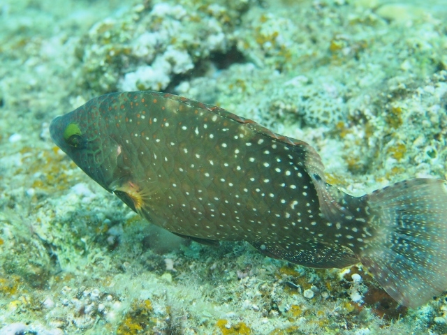 f0200373_21494767.jpg