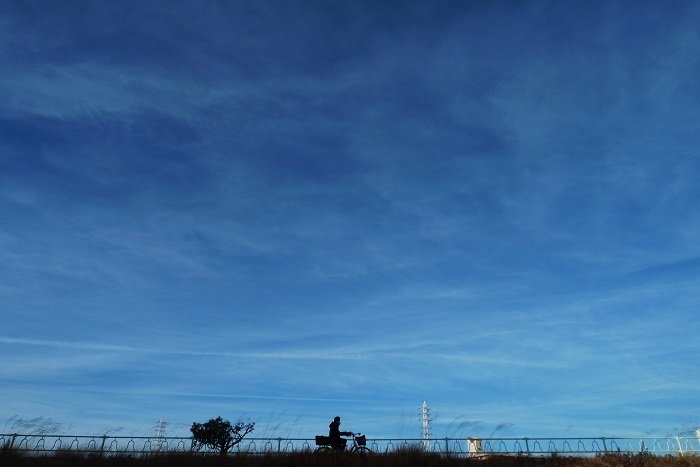 b0326576_11470216.jpg