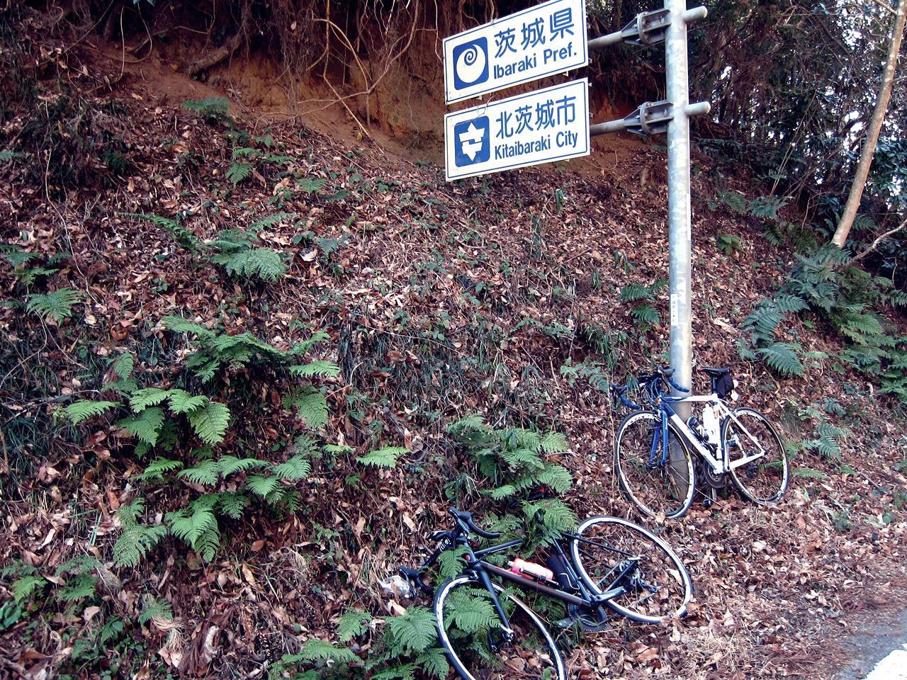 e0167780_17363889.jpg